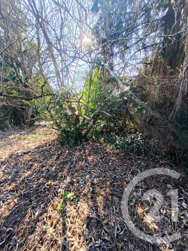 maison à vendre - 6 pièces - 122.94 m2 - MORANGIS - 91 - ILE-DE-FRANCE - Century 21 Agence Du Centre