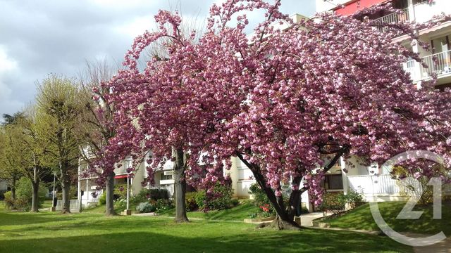 Appartement F3 à vendre - 3 pièces - 62.7 m2 - CHILLY MAZARIN - 91 - ILE-DE-FRANCE - Century 21 Agence Du Centre